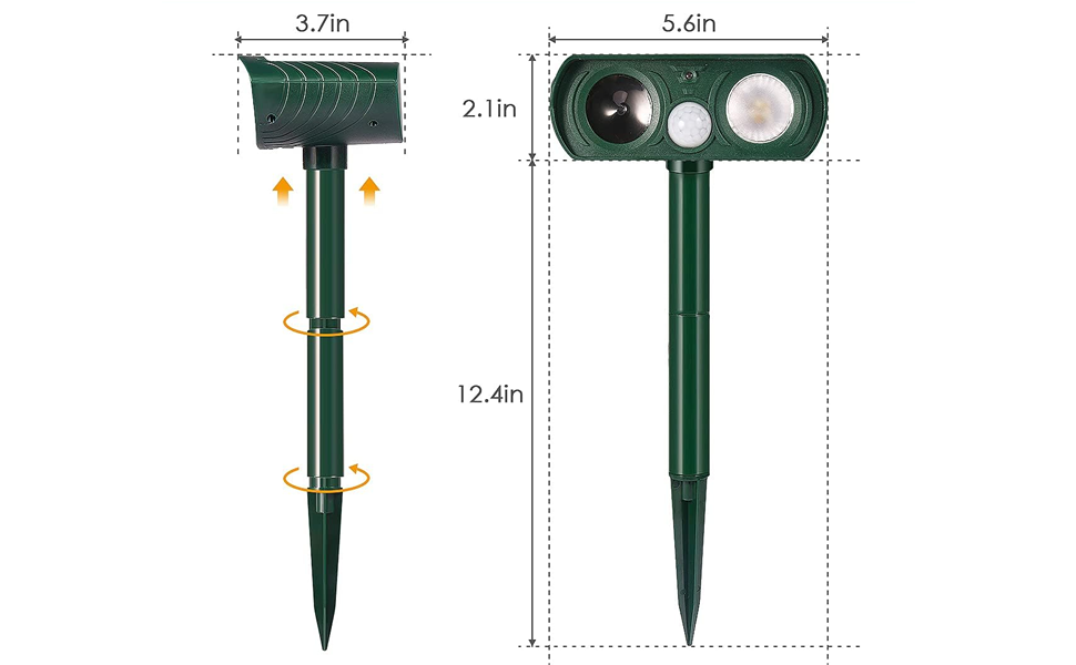 size