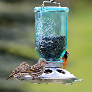 Perky-Pet Mason Jar bird feeder