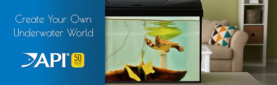 api brand aquarium fish
