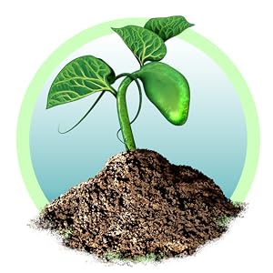 germination and growth