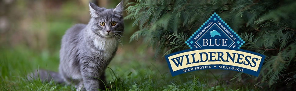 Natural cat food;Dry cat food;Cat food;High protein cat food;Grain free cat food;Adult cat food