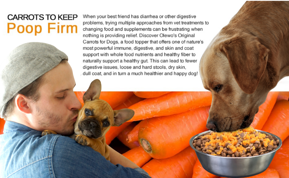 chicken chews puppy supplements shredded replacement senior eating vitaminas bone broth cold
