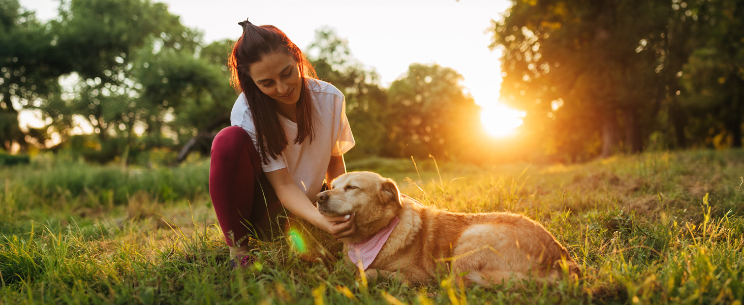 dog bladder support, urinary health, incontinence relief, cranberry chews, senior dog supplement