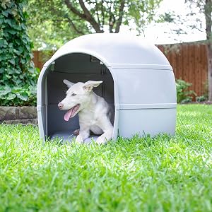 Husky Dog House