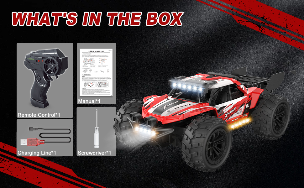 RC TRUCK