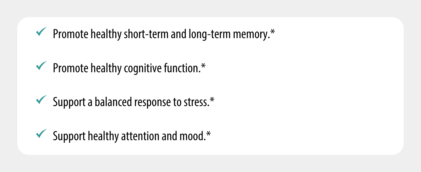Brain Boost