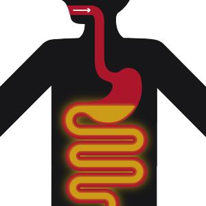prostate supplements for men