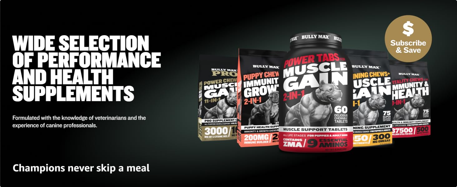 High protein Power tabs Muscle Gain Muscle Support Tablet Supplement