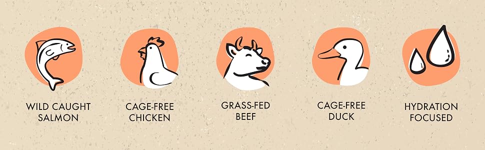 Wild Caught Salmon, grass-fed beef, cage-free chicken and duck in a hydrating Stew