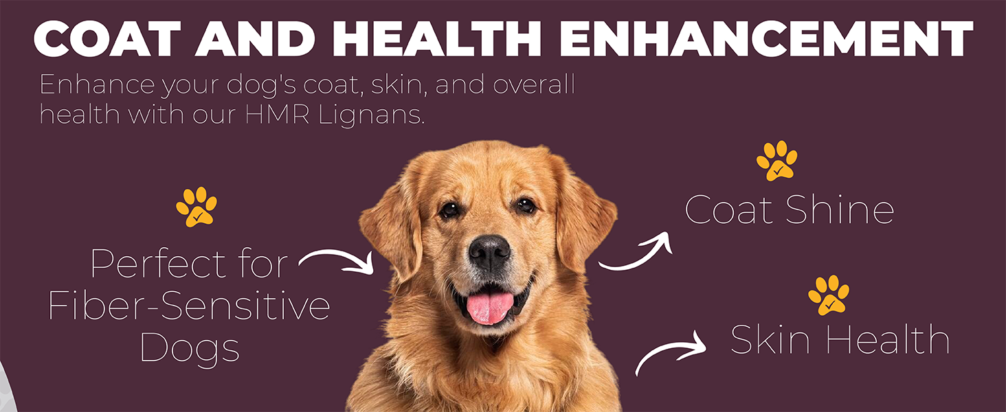 Lignans for dog health