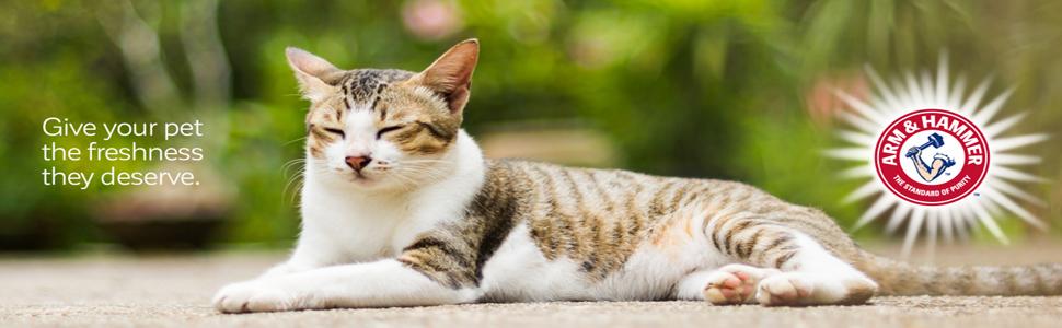 Petmate Header