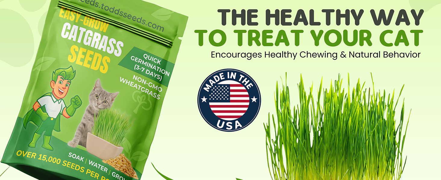 Todd&amp;#39;s Cat Grass Seeds, 15K/lb, non-GMO wheatgrass, USA made, healthy chew for cats