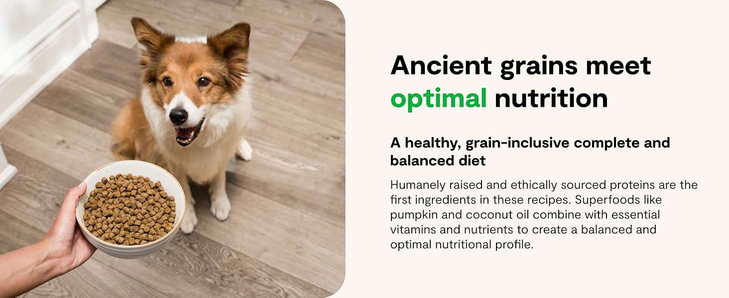 Healthy, Grain-Inclusive, Complete &amp;amp; Balanced Diet