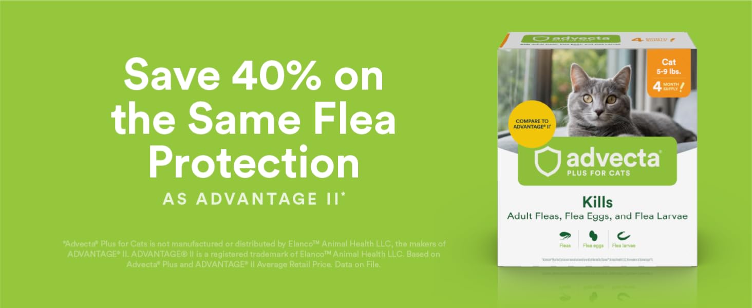 Save 40% on flea protection