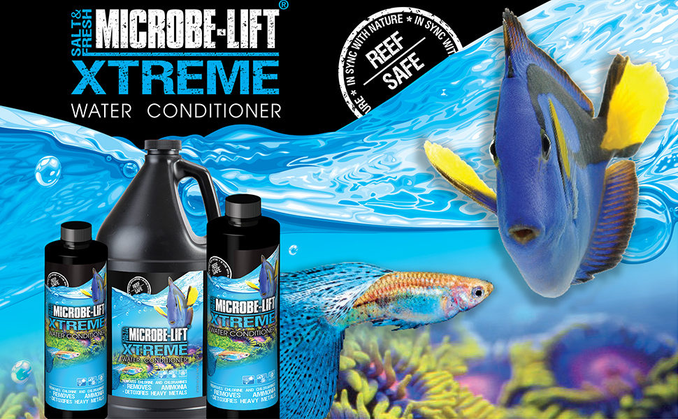 xtreme banner