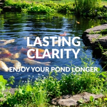 Lasting clarity, enjoy your pond longer