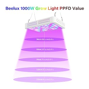 grow light