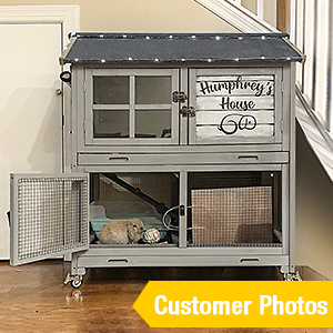 rabbit cage