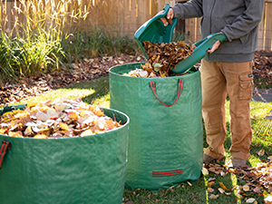 Leaf claws for lawn care
