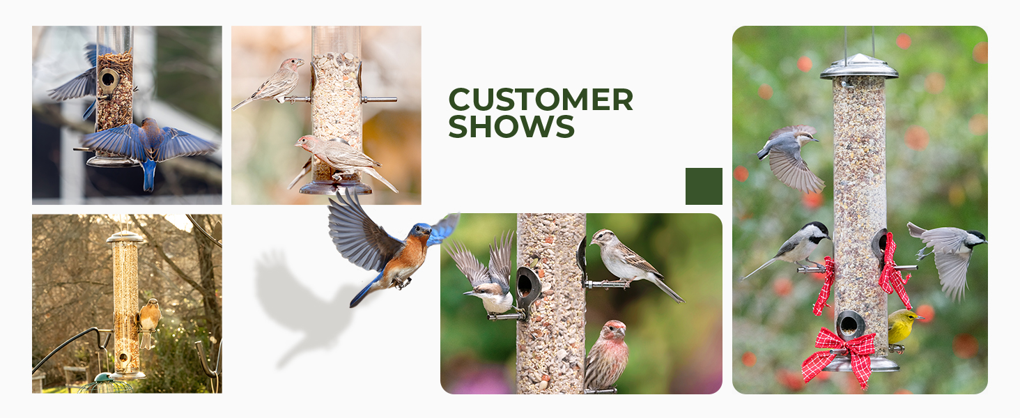 bird feeder