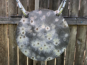 Ar500 steel plates, steel targets, shooting steel plate, shooting tree target, steel plate targets.