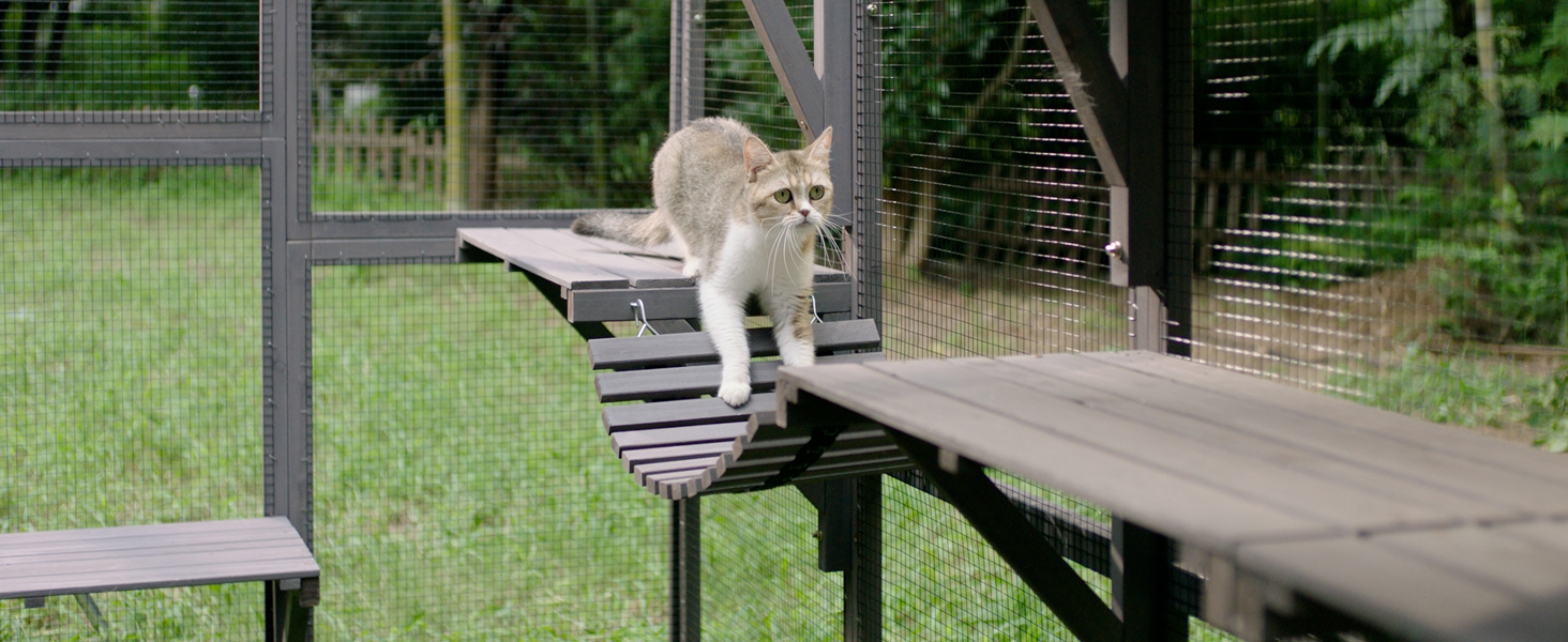 cat house