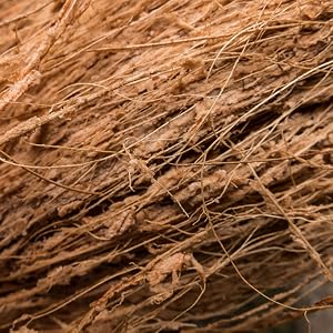 coconut coir