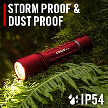 xp11r red