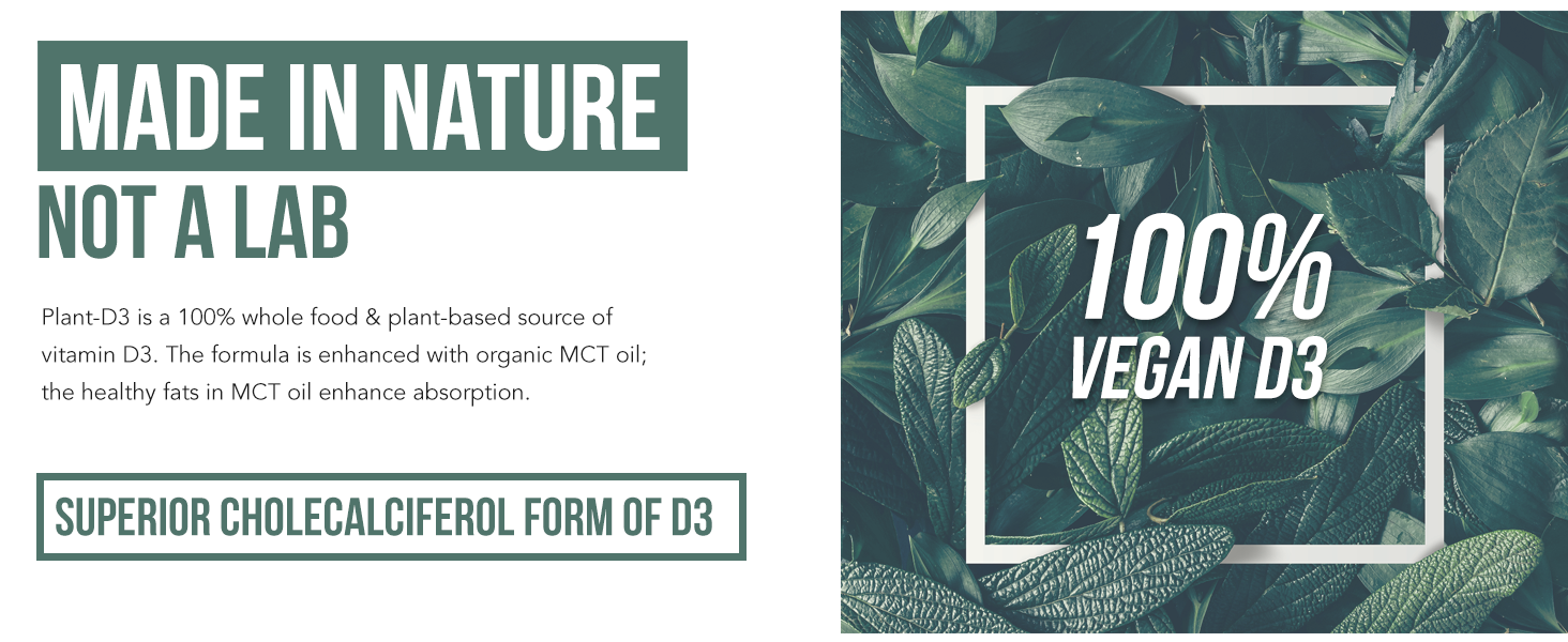 plant d3