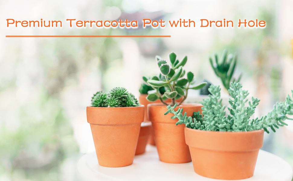 shallow terracotta pots plant clay planter with drainage hole succulent flower pots for plants