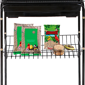 Extra Storage shelf