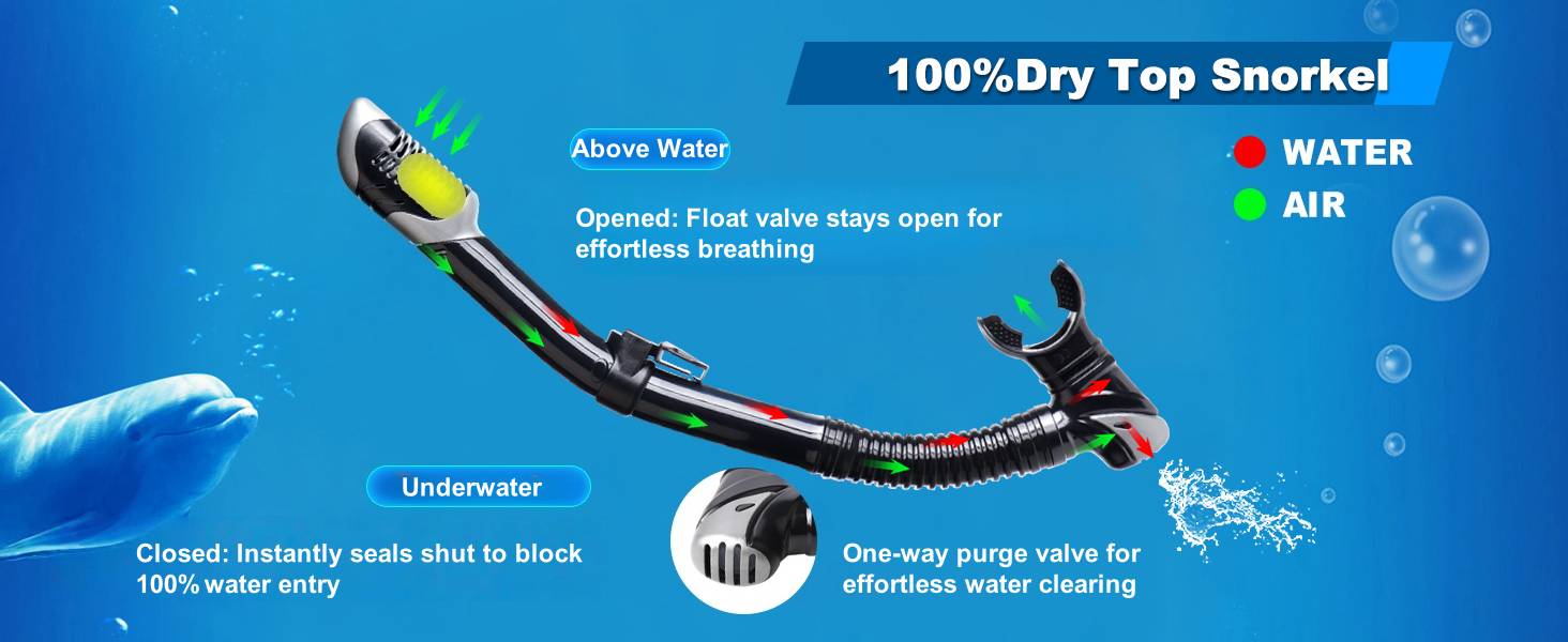 Snorkel Set Pano 3 Adult Snorkeling Gear Anti-Fog Snorkel Mask Dry Top Snorkel Scuba Diving Mask