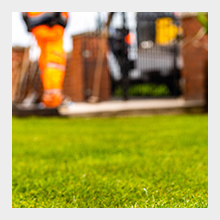 Key Benefits of Humate Soil Conditioner on Lawn
