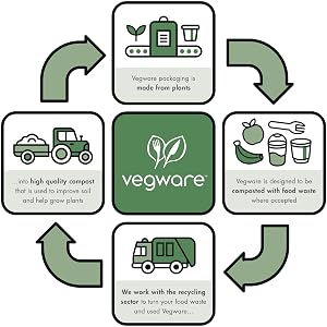 product lifecycle