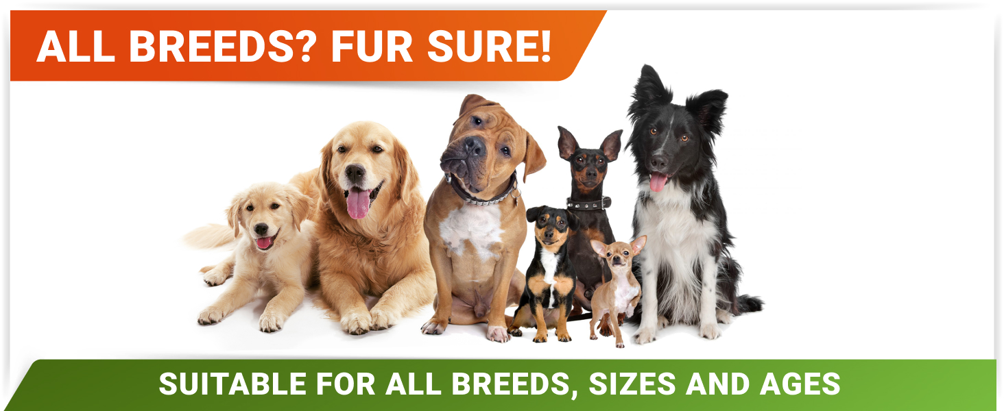 Liquid Glucosamine for Dogs w/Collagen
