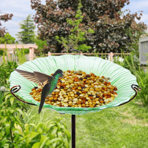 birdbath