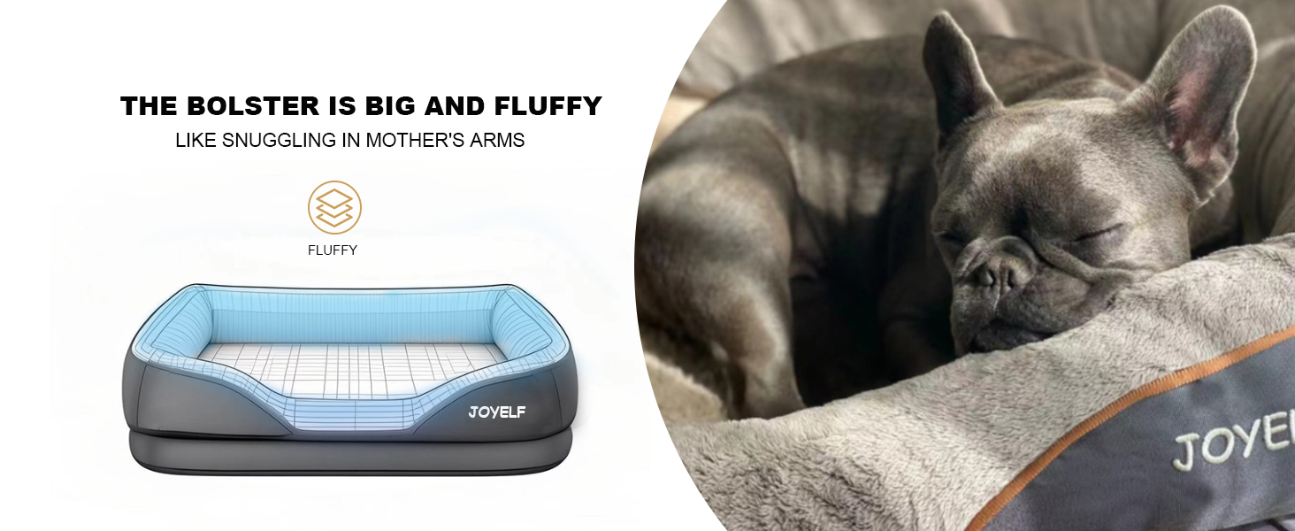 dog beds for small dogs