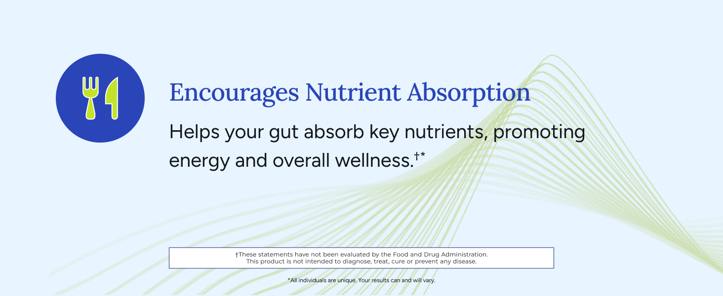 gut health digestion digestive lectin bloating