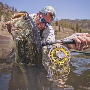maxcatch advance fly fishing rod