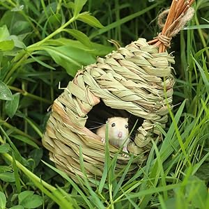 Woven Hummingbird House