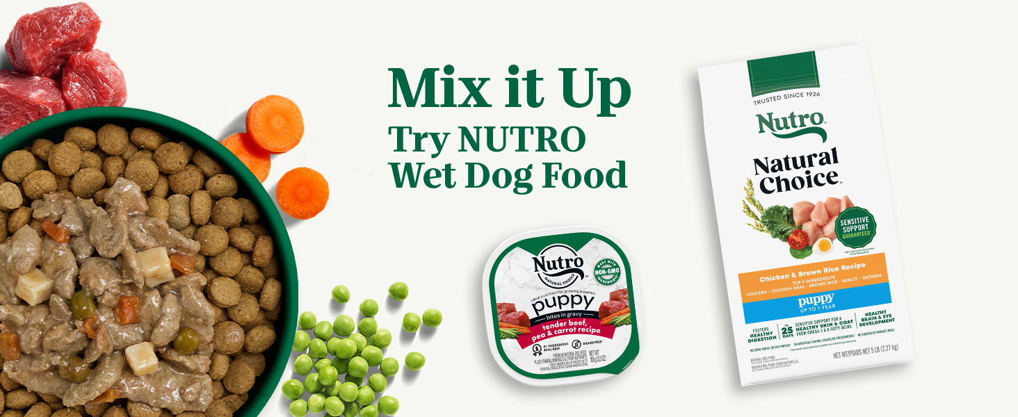nutro puppy