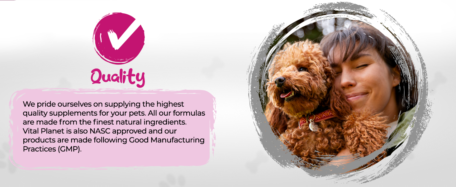 enzymes probiotics prebiotics fiber pumpkin fennel pancreatin digestion pancreas veterinarian