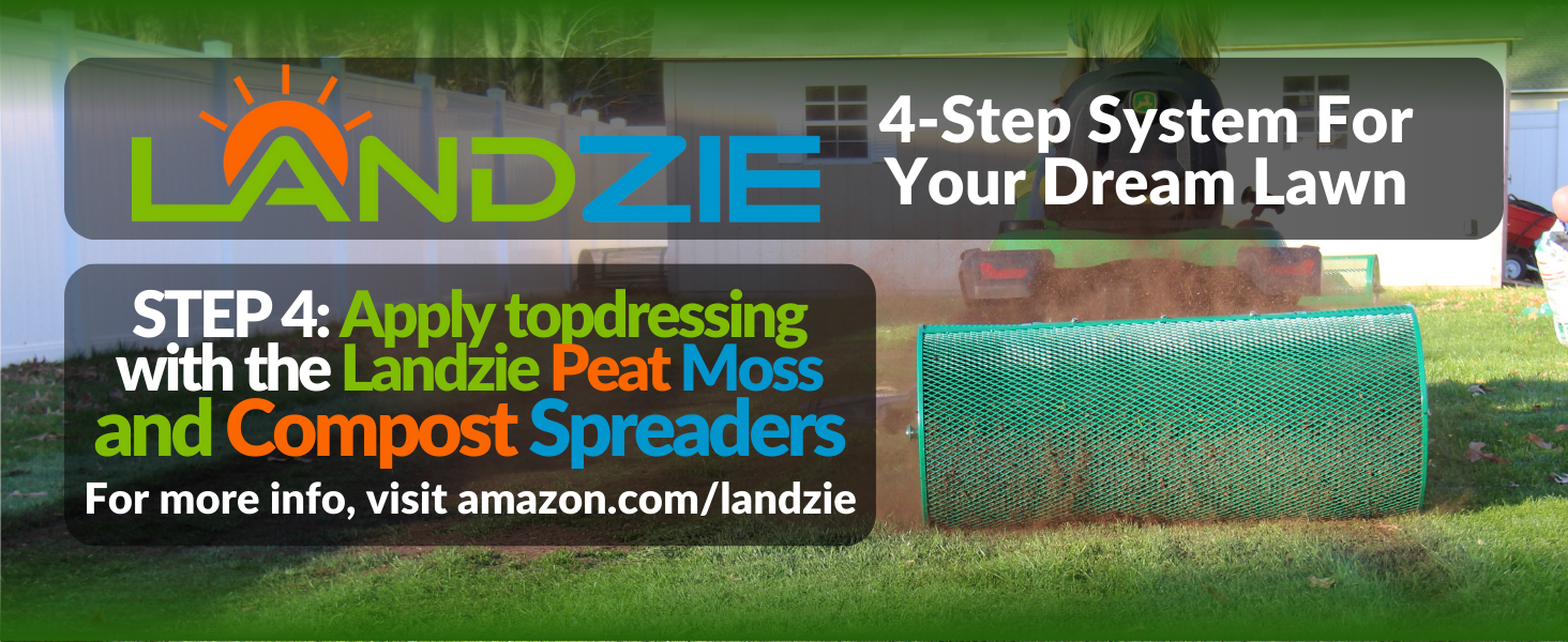 asdasdasd