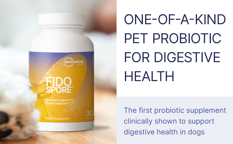 probiotic probiotics for dogs dog probiotics immune support gut health dog vitamins