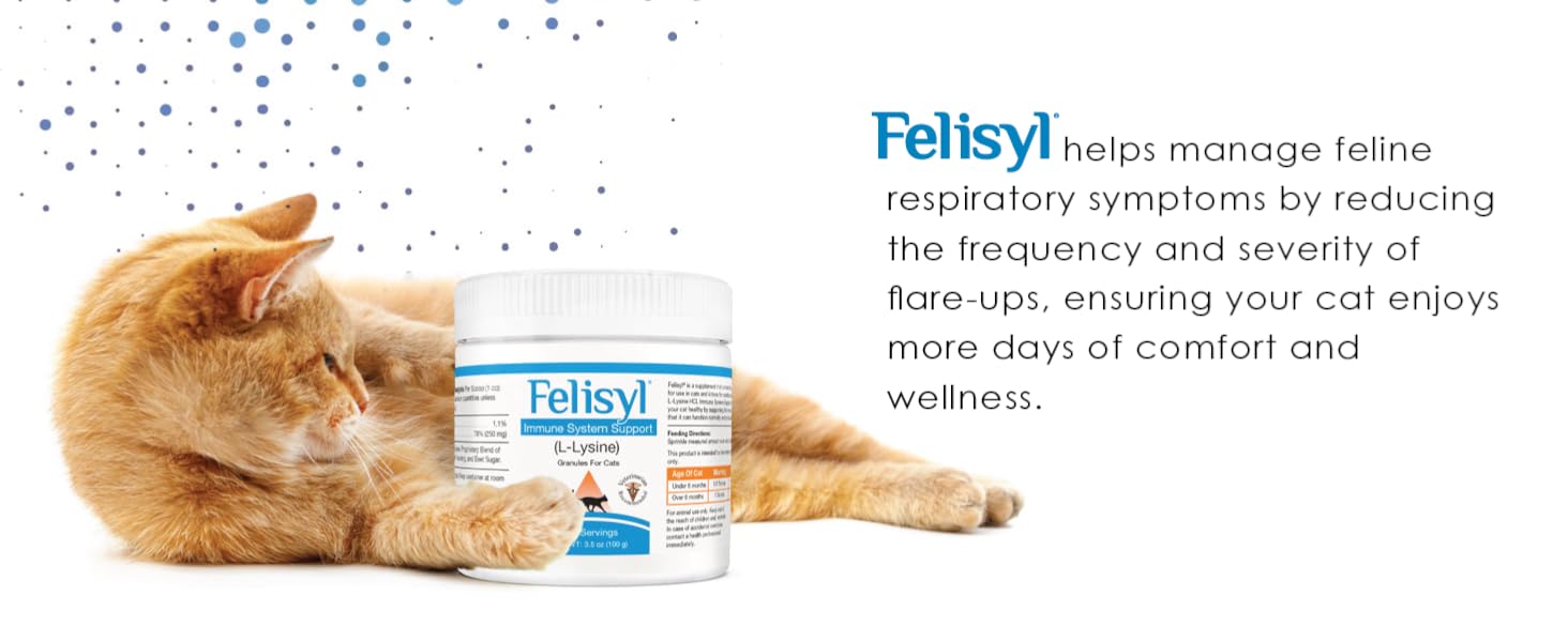 Felisyl aids in reducing cats’ respiratory flare-ups, ensuring more comfort and better wellness.