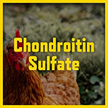 Chondroitin Sulfate