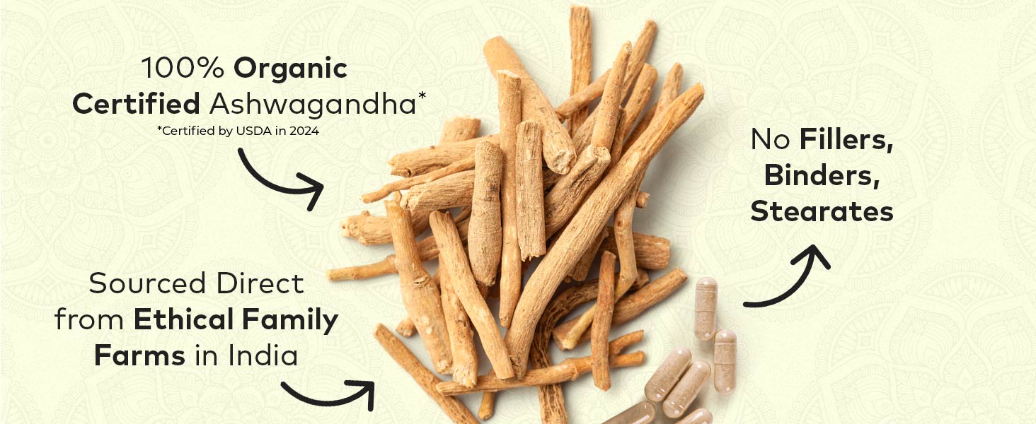 daily support, stress relief, tulsi, capsules, organic, health,