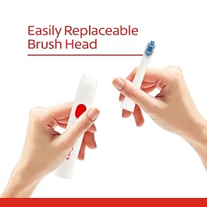 easily replaeable brush head