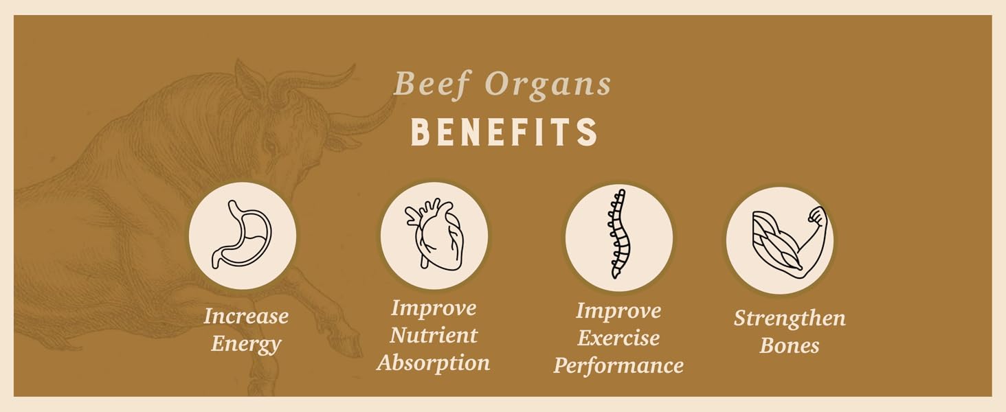 beef organs supplement
