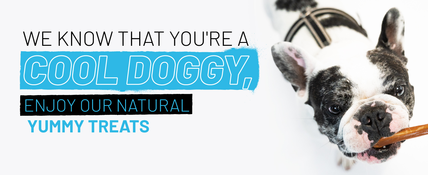 BULLY STICKS FOR DOGS